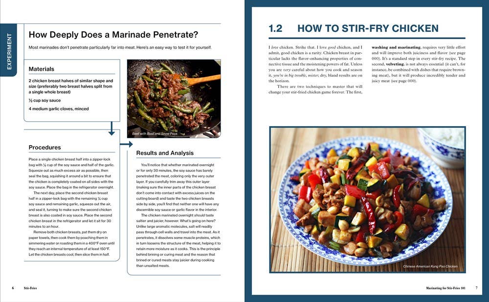The Wok: Recipes and Techniques: Hardcover