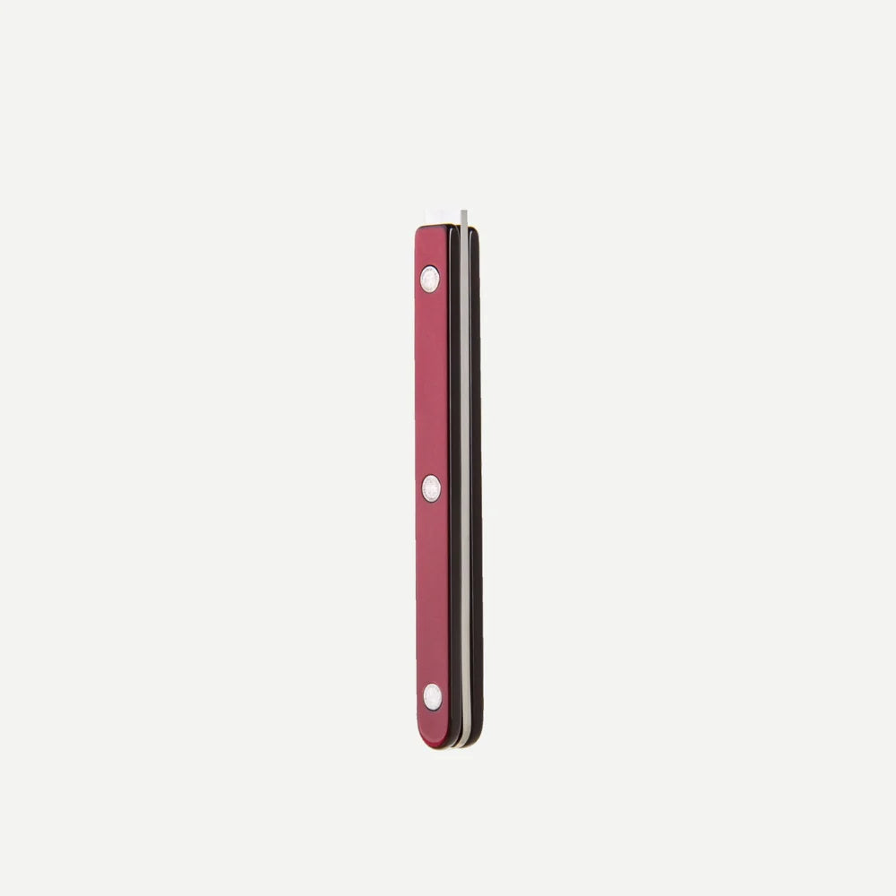 Sabre Rice Spoon Bistrot Pearly in Aubergine and Shiny Finish