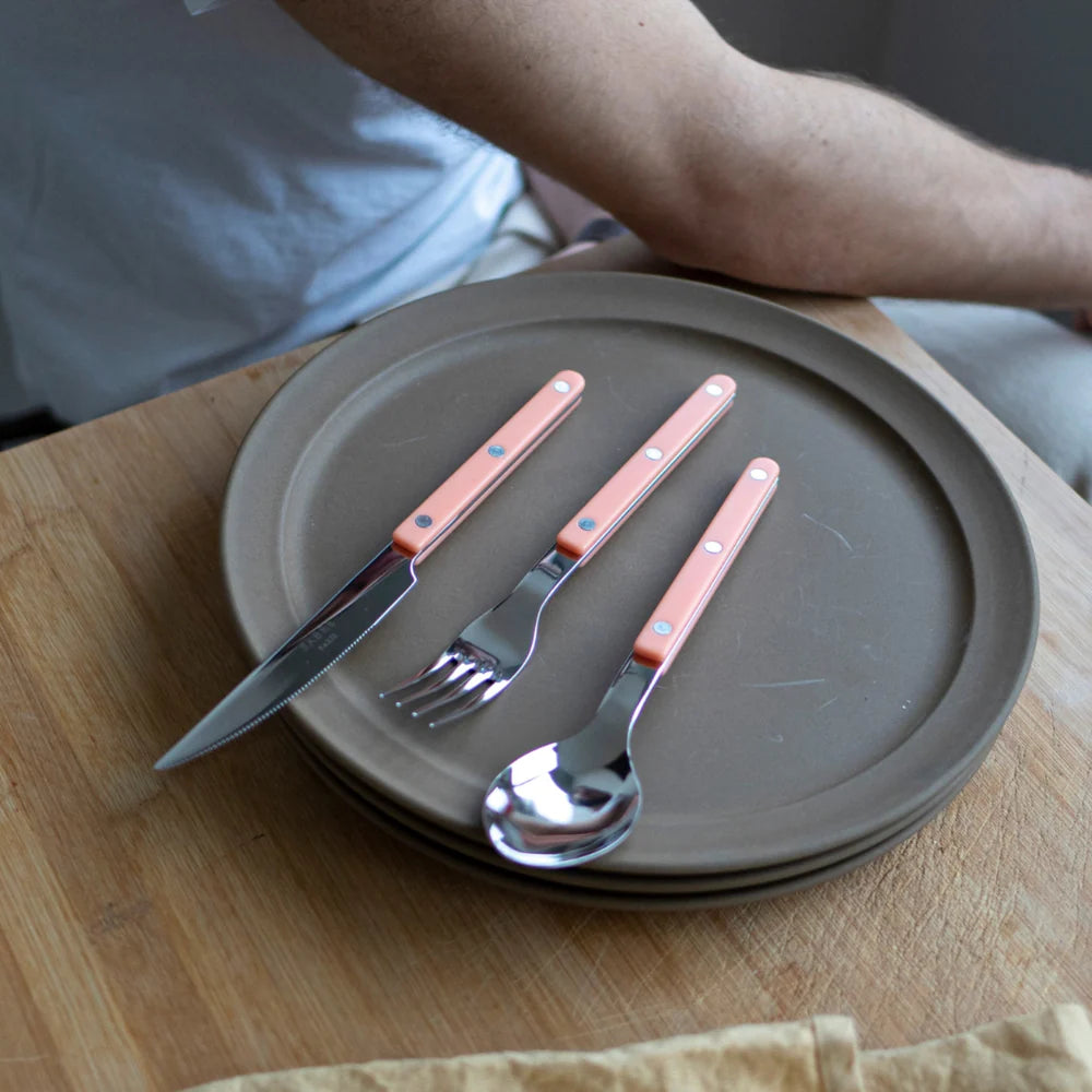 Sabre 5 pieces Cutlery Set Bistrot Solid in Nude Pink and Shiny Finish