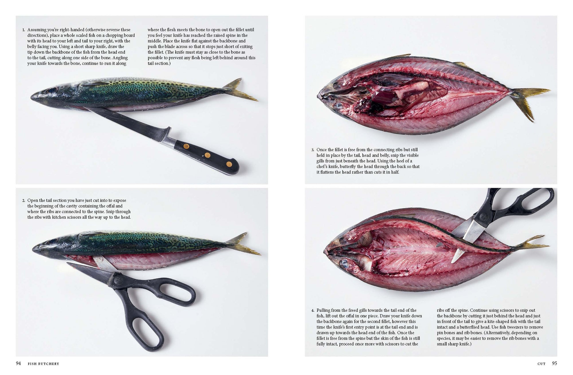 Fish Butchery