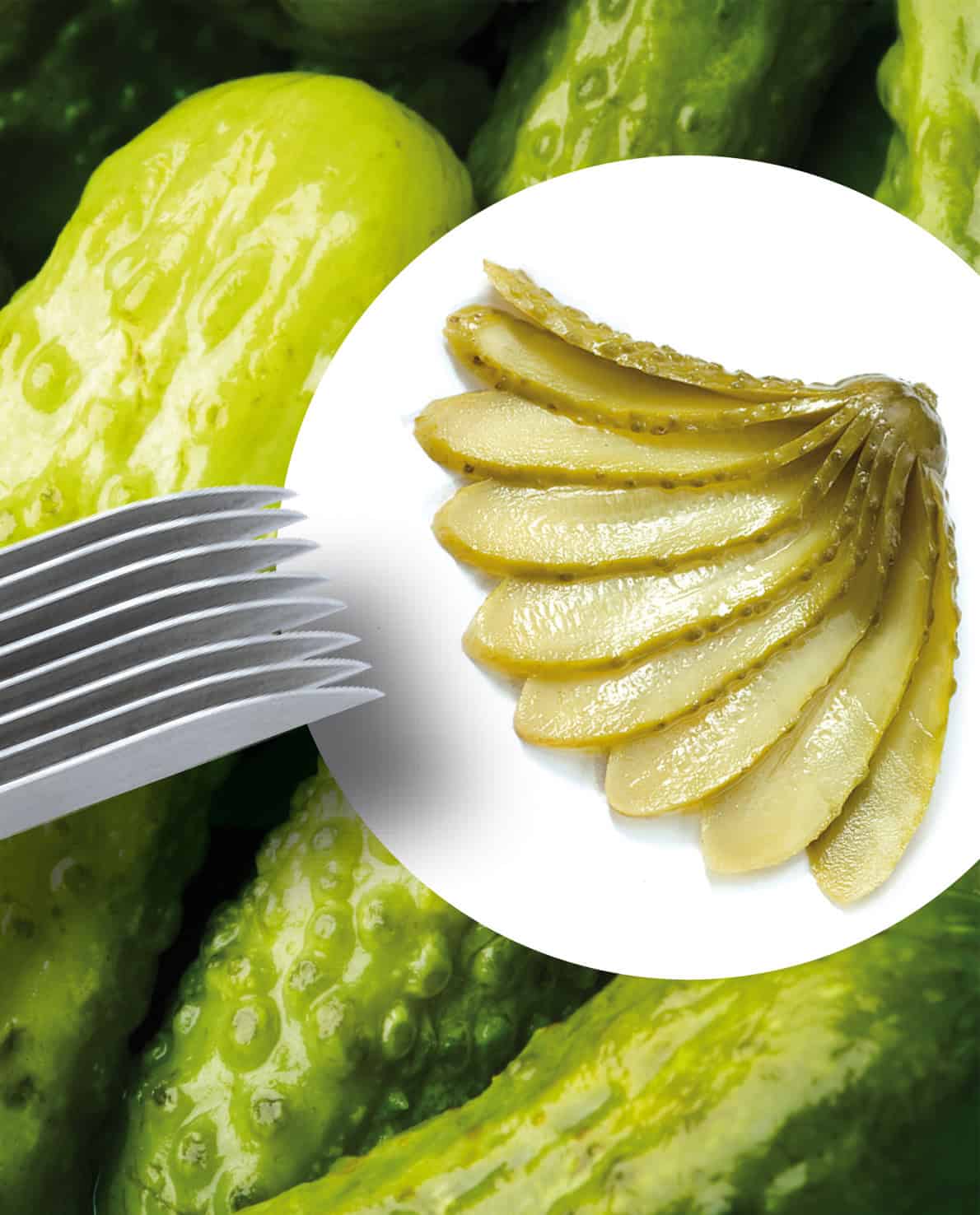 TRIANGLE Gherkin cutter, 8 blades