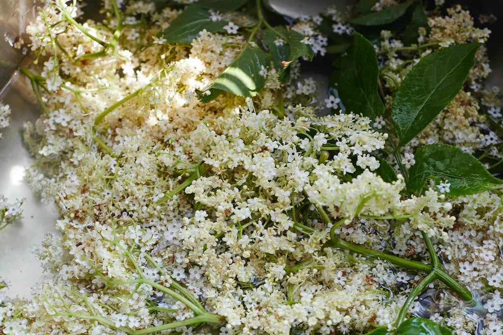 London Borough of Jam Apricot & Elderflower