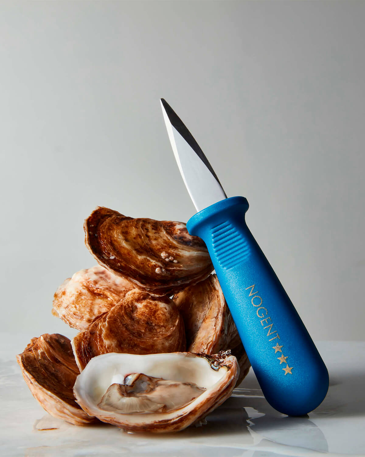 NOGENT Oyster Knife Polypro (Blue)