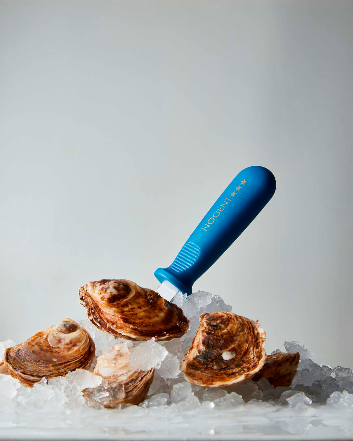 NOGENT Oyster Knife Polypro (Blue)