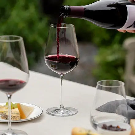 Richard Brandon Jancis Robinson Precision Wine Glass (Set of 4)