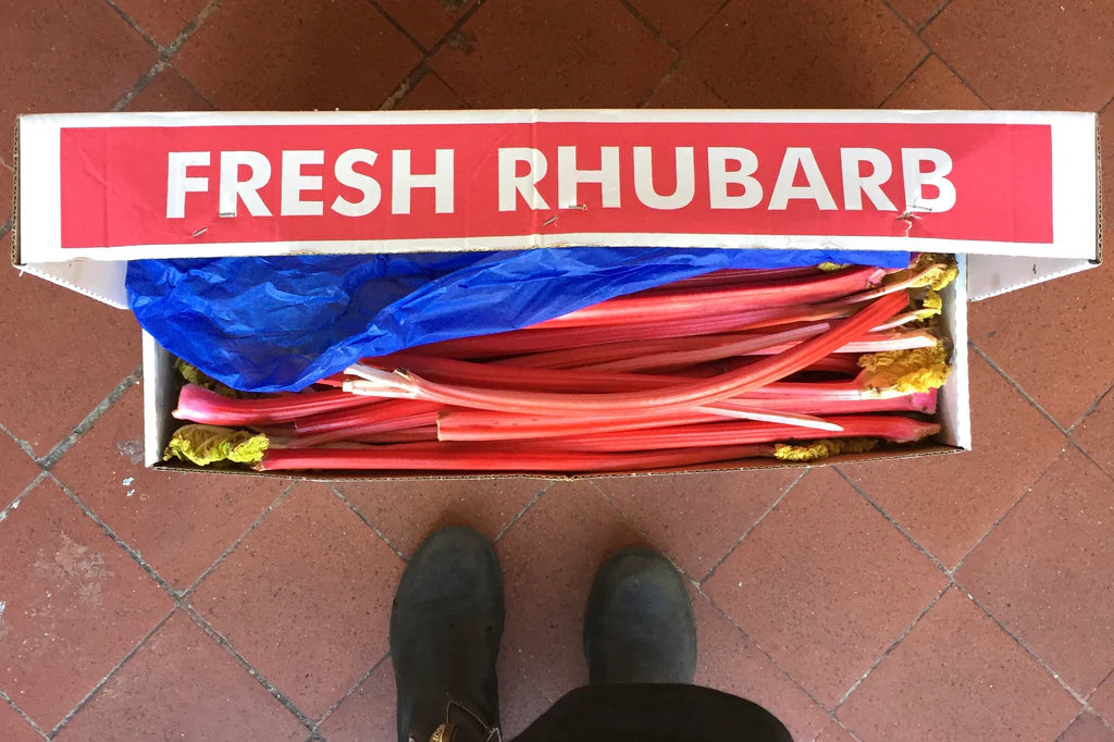 London Borough of Jam Rhubarb & Cardamom