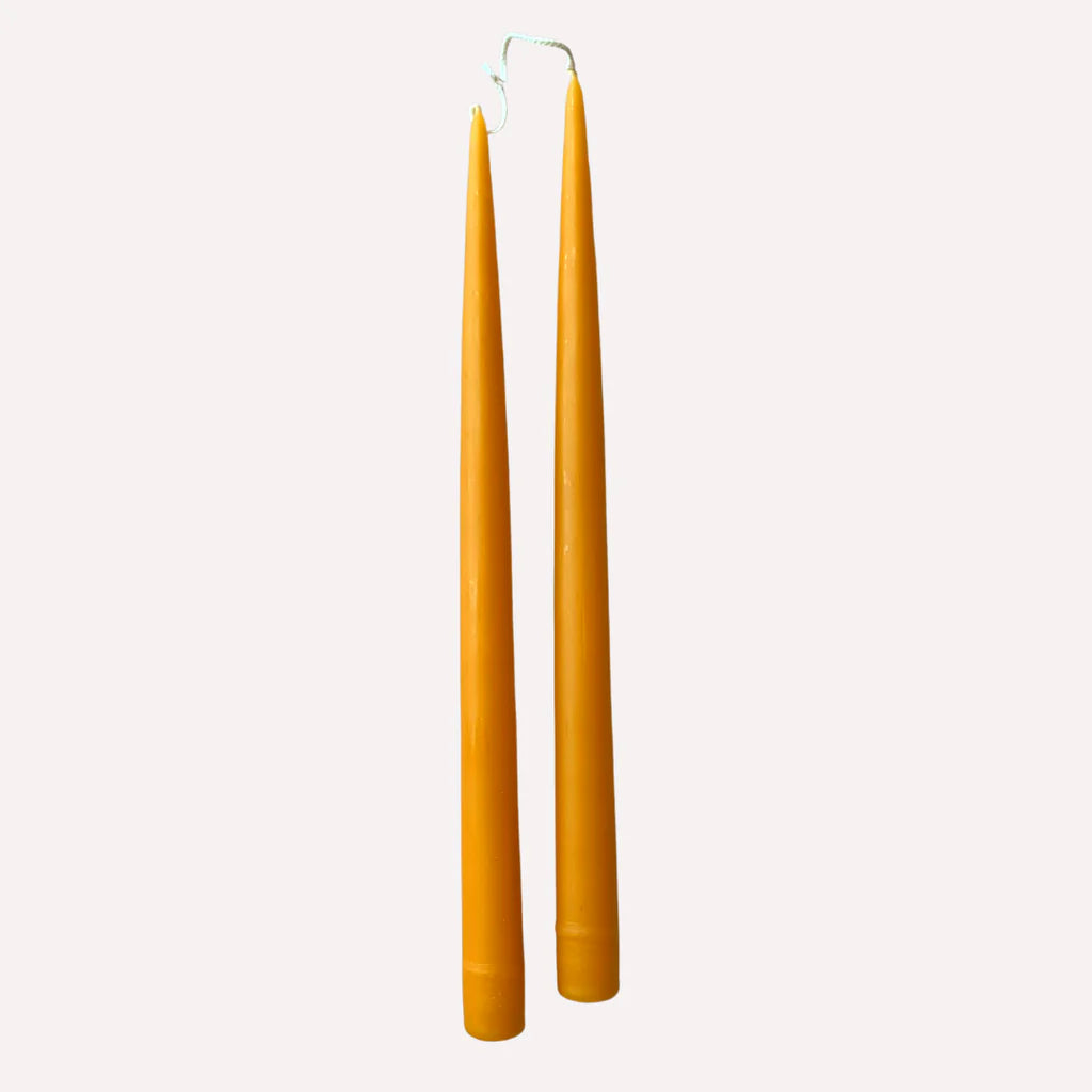 Danica Hand Dipped Tapers - Pumpkin
