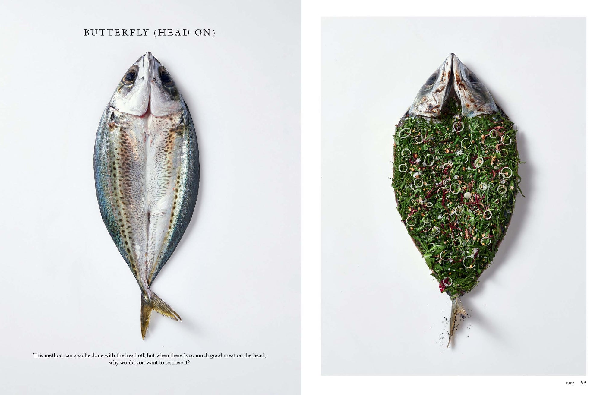 Fish Butchery