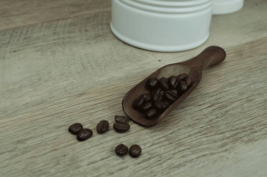 5" Small Walnut Wood Scoop - Kitchen Serving Utensil