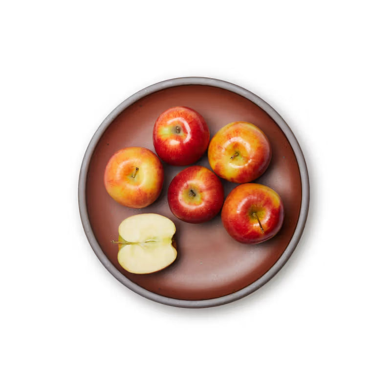 East Fork Dinner Plate in Amaro