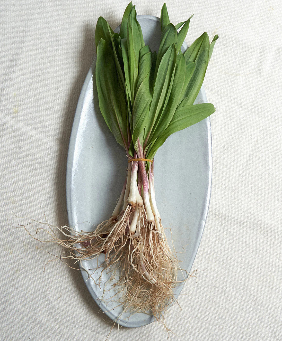 Il Buco Vita Assisi Small Oval Platter in Bianco