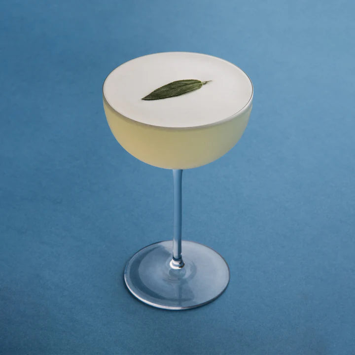 Richard Brandon Cocktail Collection Coupe (Set of 2) - Classic